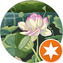 R. O. profile picture